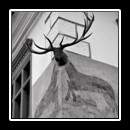 'House with Antlers' in  Sighișoara