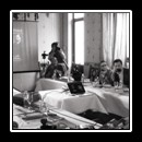 Press conference at Hotel Castel Dracula