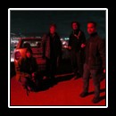 Nightly exploration of the Hoia Baciu spooky forest, with  our guides Marius Lazin (left) and Alexandru Dan