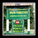 Meeting point at the Ocolul Silvic, 3 km from Hotel Castel Dracula. At 7:00 a.m.