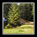 Here is where I got stuck in August 2013. At that time, there were no proper signs along the paths...