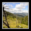 Up the hill, direction checkpoint.